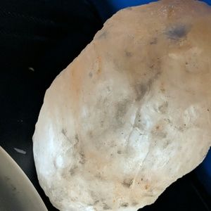 Meet your Posher, Gavin